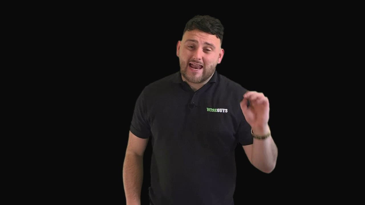 WiseGuys Service Explanation Video